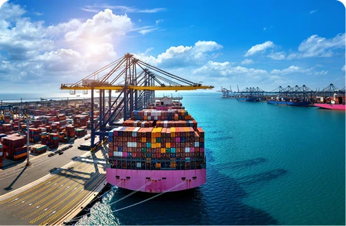 Logistics & Delivery
